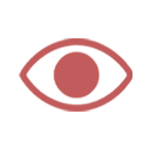 Visual Perception